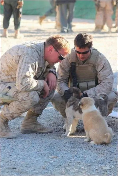 Prix Goncourt avec  L'Amant , elle dit : Mme la guerre est quotidienne !
