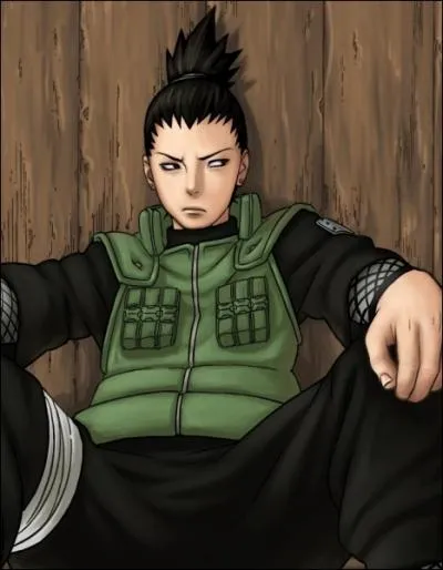 Quel est le pouvoir de Shikamaru ?