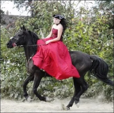 Quelle est cette activit ?