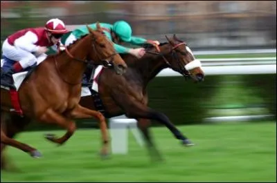 Quelle est cette activit ?