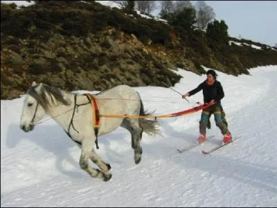 Quelle est cette activit ?