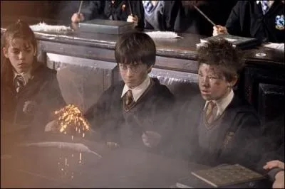 Dans HP1, dans le premier cours d'enchantement, quand Seamus Finnigan fait exploser sa plume, que dit alors Harry qui est  ct ?