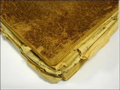 Lequel de ces livres est le premier roman de Corinne Champougny ?