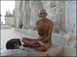 L'ermite qui pratique un ensemble d'exercices  vise spirituelle et qui a une vie trs saine est... . .