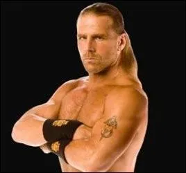 Quel est le finisher de Shawn Michaels ?