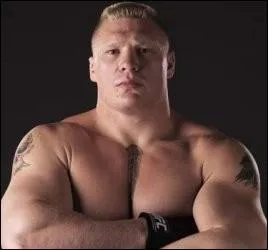 Quel est le finisher de Brock Lesnar ?
