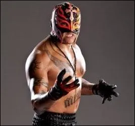 Quel est le finisher de Rey Myserio ?