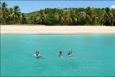 O se situe l'le de Saint-Martin qui est partage entre deux tats (une partie franaise et l'autre nerlandaise) ?