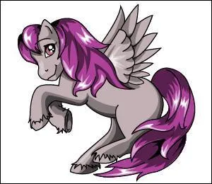 Quelle est la race de ce poney ?