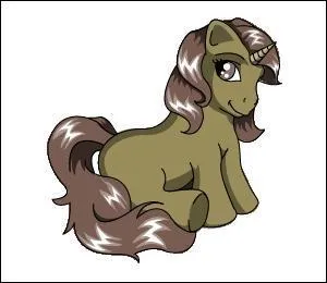 Quelle est la race de ce poney ?