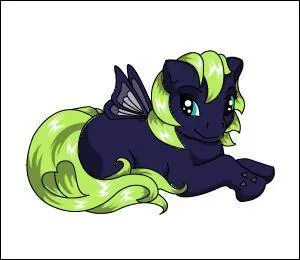 Quelle est la race de ce poney ?