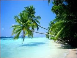 Ne trouvez-vous pas que la mer _______ tranche avec la vgtation _______ _______ ?