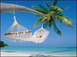 Vous allez pouvoir vous reposer.