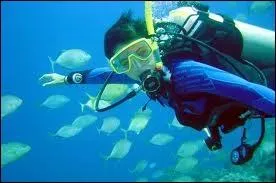 Les plus sportifs pourront faire de la plonge sous-marine...