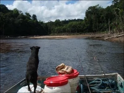 Combien de pays sont frontaliers de la Guyane franaise ?
