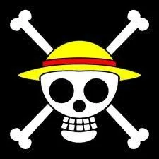 A qui appartient ce drapeau ?