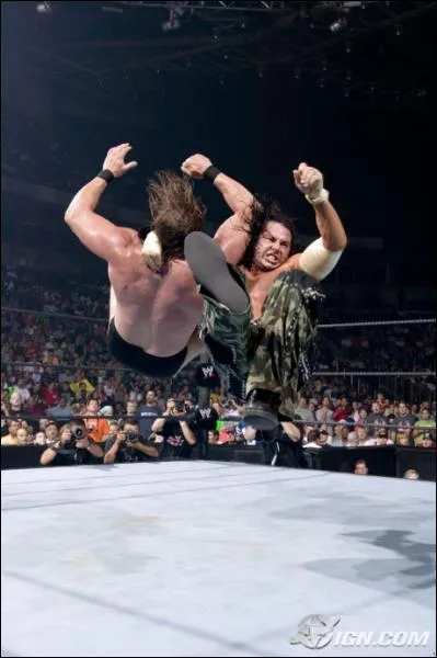 Quel est le nom de cette prise ?