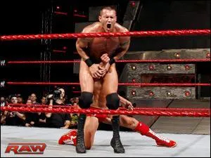 Quel est le nom de cette prise ?