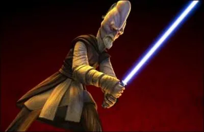 Qui est ce Jedi dans les dessins anims ?