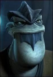 Qui est ce Jedi dans les dessins anims ?