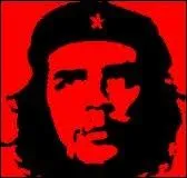 Quel groupe a associ son image  celle du Che ?