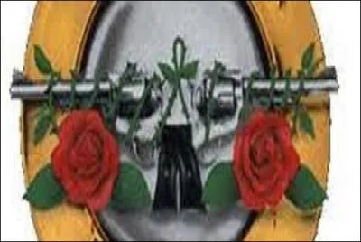 A quel groupe doit-on  Paradise City  et  Welcome to the jungle  ?