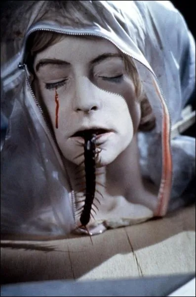 De quel film d'horreur provient cette image ?