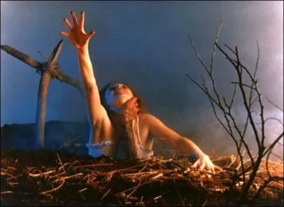 De quel film d'horreur provient cette image ?