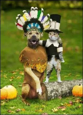 Sur cette photo, on voit un renard qui est dguis en indien !