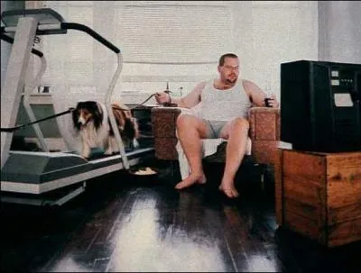 Sur cette photo, on voit un primate qui fait du sport !