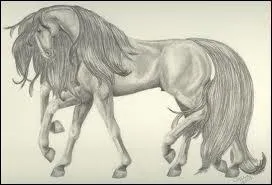 Quelle est cette crature ?