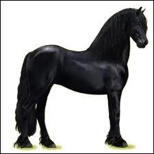 Est-ce une robe de pomme d'or port par ce cheval ?