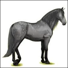 Quelle est cette race ?