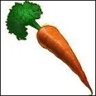 Combien peut-on avoir de carottes dans son centre questre ?