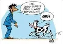 Combien trouvez-vous de fautes dans cette phrase : "les maître-à-danser ont entraîné les maîtres-chien à faire évoluer les animaux en souplesse" ?