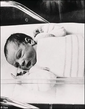 En 1978, Louise Brown nat en Angleterre. C'est le premier bb au monde n par fcondation in-vitro. En quelle anne nat Amandine, le premier bb prouvette franais ?