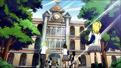 Dans l'histoire qu'est-ce que Fairy Tail ?