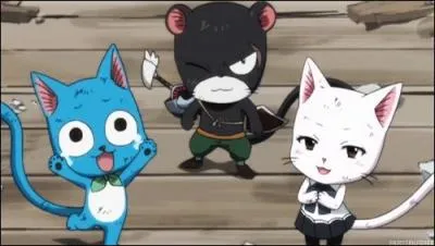 Quel est le nom du chat bleu ?