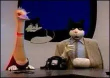 Comment les jours de la semaine ont-ils t rebaptiss dans l'mission ?