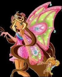 Qui a cette transformation ?