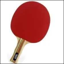 Quelle est cette autre raquette ?