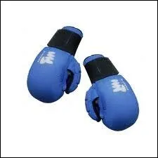 Et ces gants-l,  quelle discipline sportive appartiennent-ils ?