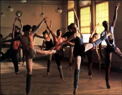 Ce film raconte le parcours, dans la clbre  High school of performing arts  de 6 jeunes qui dsirent percer dans le milieu du spectacle new-yorkais.