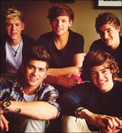 Qui est le plus g des One Direction ?