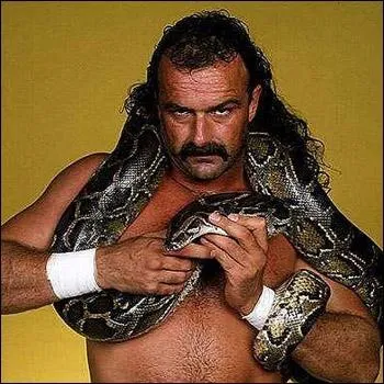 Quelle est la prise de finition de Jake Roberts ?