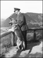 La chienne d'Adolf Hitler s'appelait ...