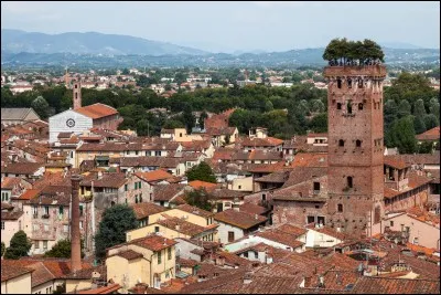 Qui était princesse de Lucques et de Piombino ?
