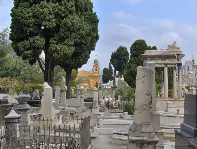 Qu'est-ce que le "Gambetta" ?