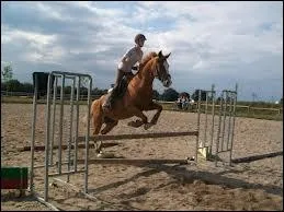 Un vertical fait partie de la catgorie des obstacles :