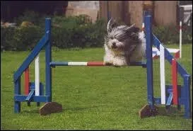 Un vertical peut se franchir ...